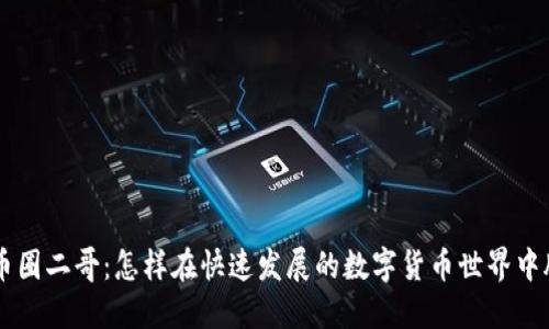 区块链币圈二哥：怎样在快速发展的数字货币世界中脱颖而出
